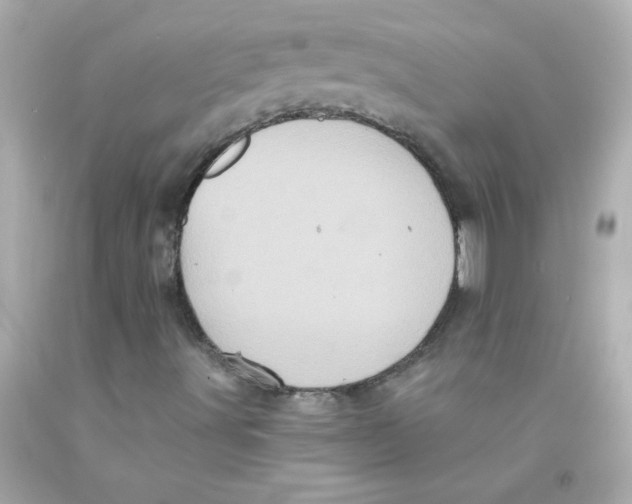 X0000093121491200710241252