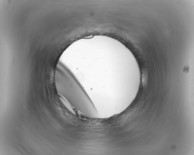 X0000093121492200710241252