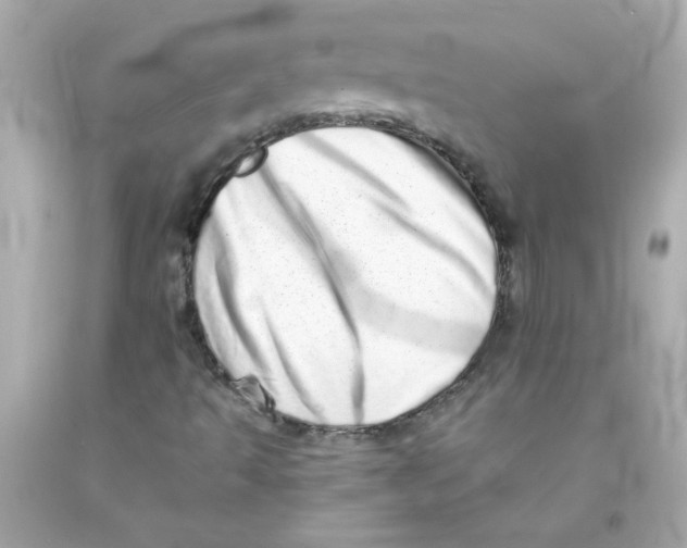 X0000093121493200710241252