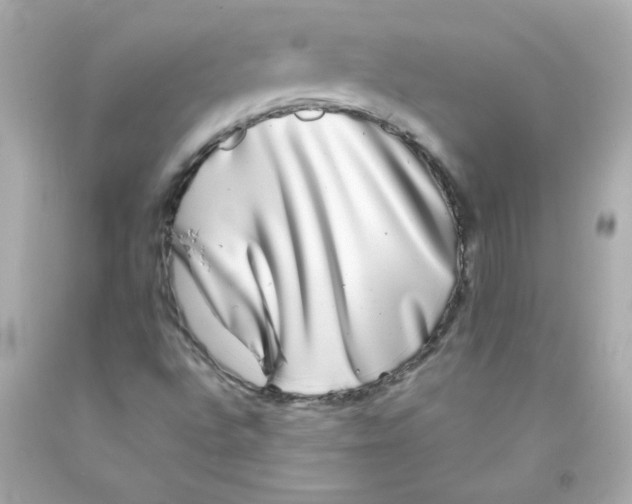 X0000093121496200710241252