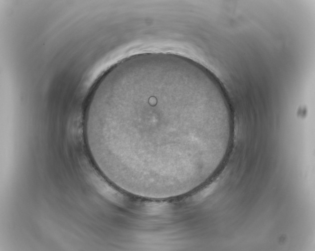 X0000093121498200710241252