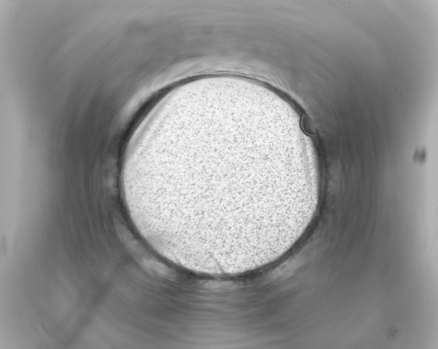 X0000093121499200710241252