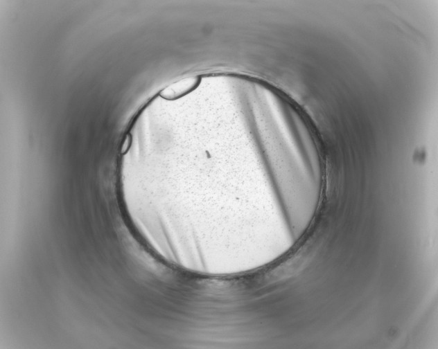 X0000093121500200710241252