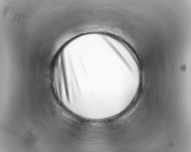 X0000093121501200710241252