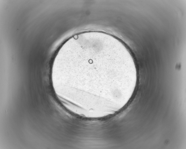 X0000093121502200710241252