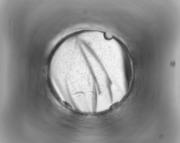 X0000093121503200710241252