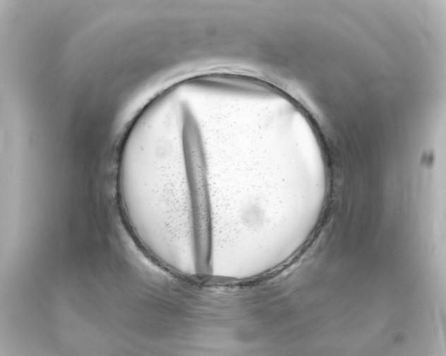 X0000093121504200710241252