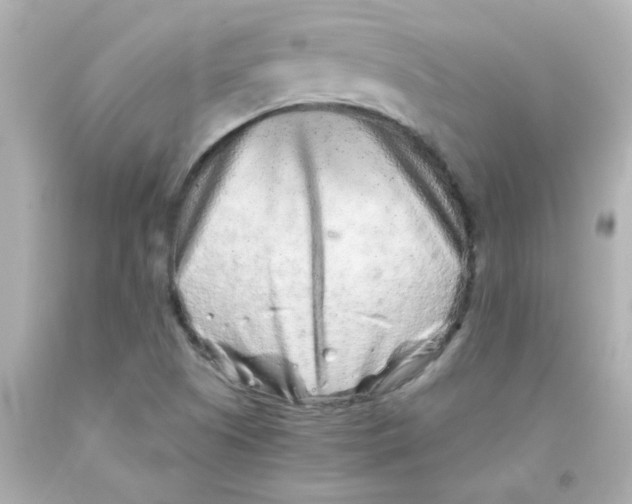 X0000093121505200710241252