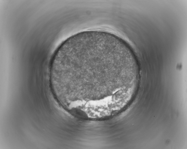 X0000093121506200710241252