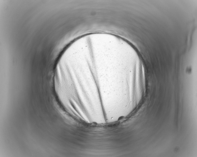 X0000093121507200710241252