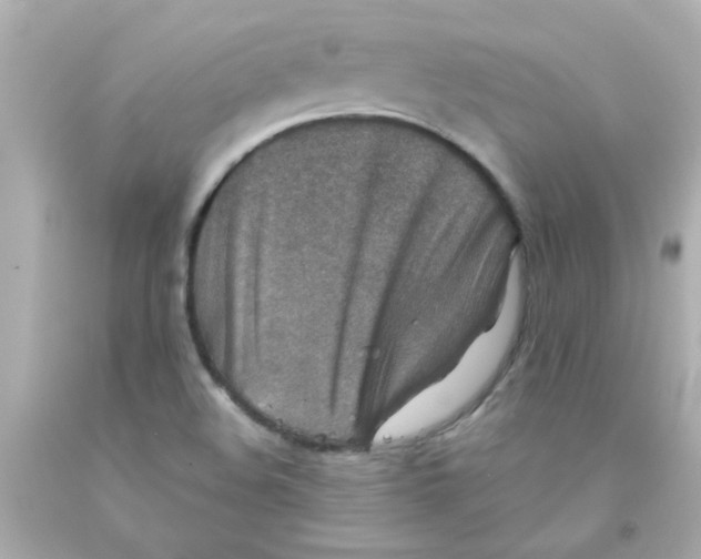 X0000093121508200710241252