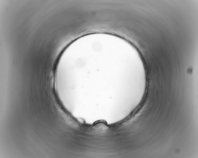 X0000093121509200710241252