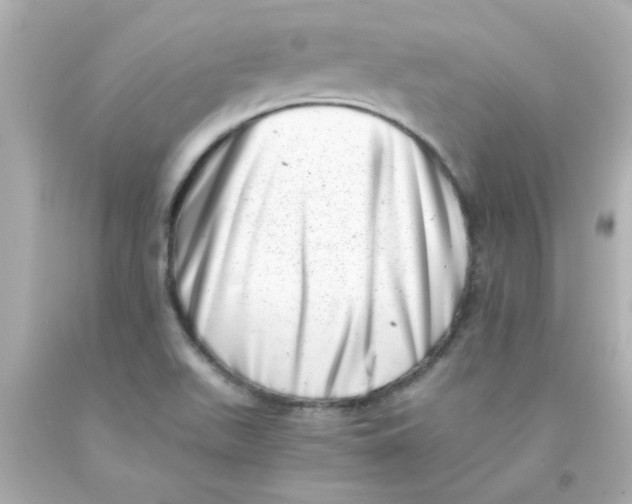 X0000093121511200710241252