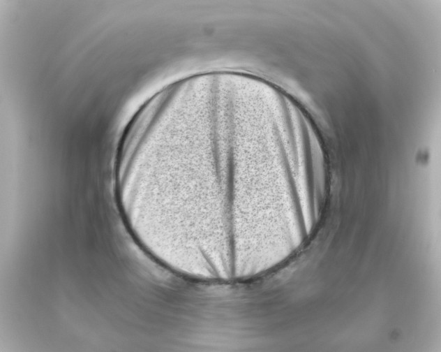 X0000093121512200710241252