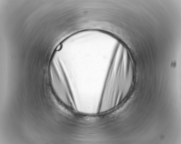 X0000093121513200710241252