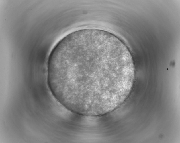 X0000093121514200710241252