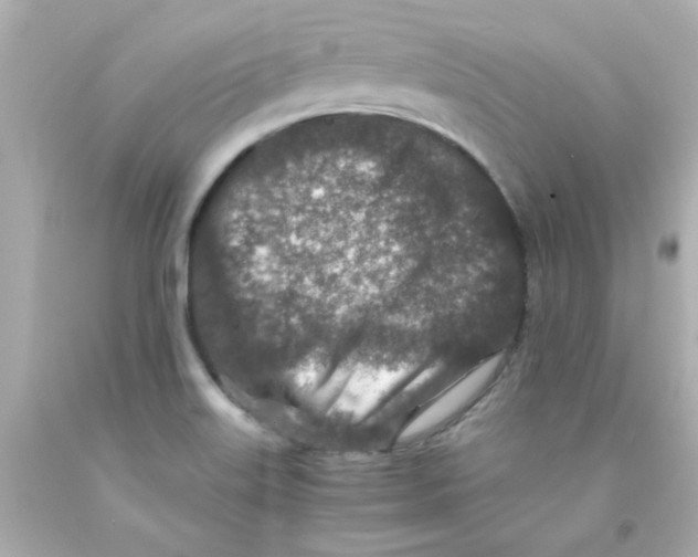 X0000093121515200710241252