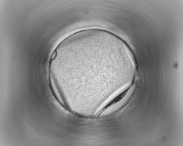 X0000093121516200710241252