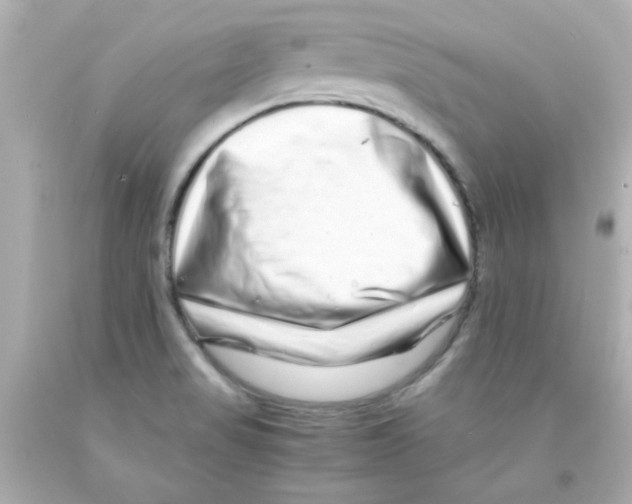 X0000093121517200710241252