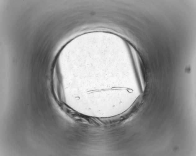 X0000093121518200710241252