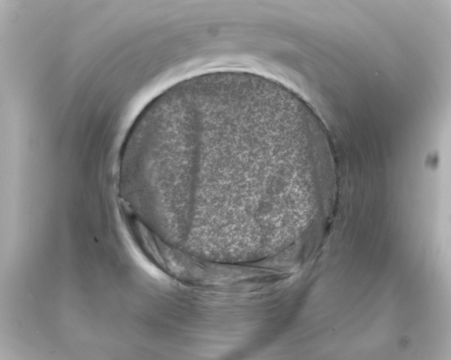 X0000093121519200710241252