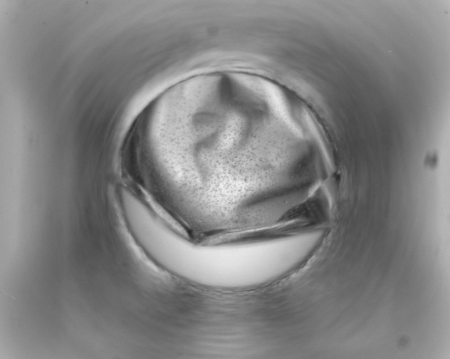 X0000093121520200710241252