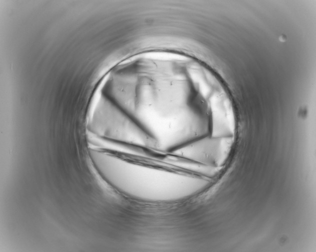 X0000093121521200710241252