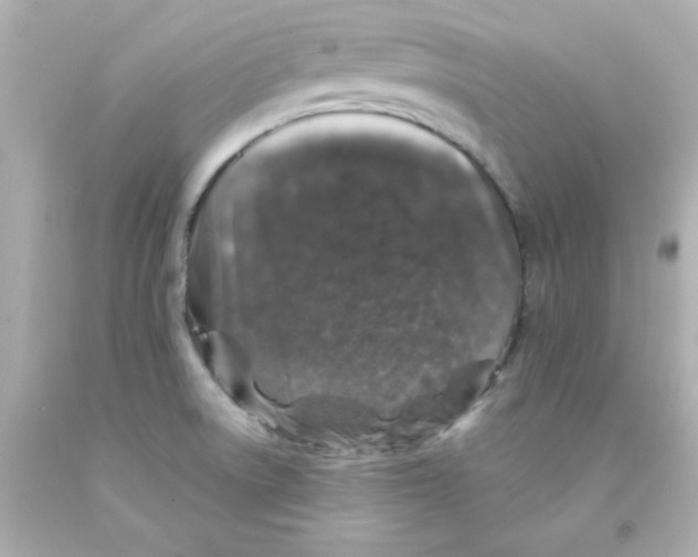 X0000093121522200710241252