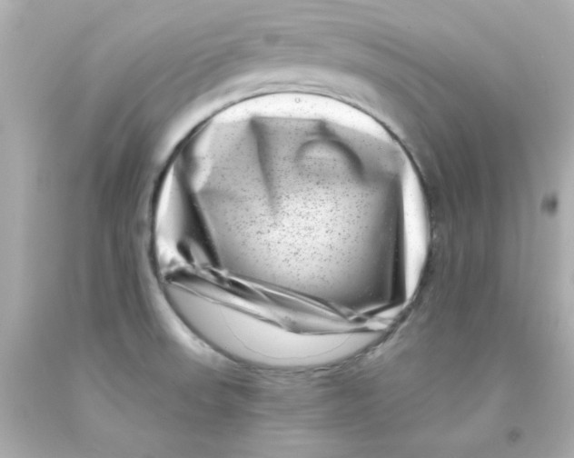 X0000093121523200710241252