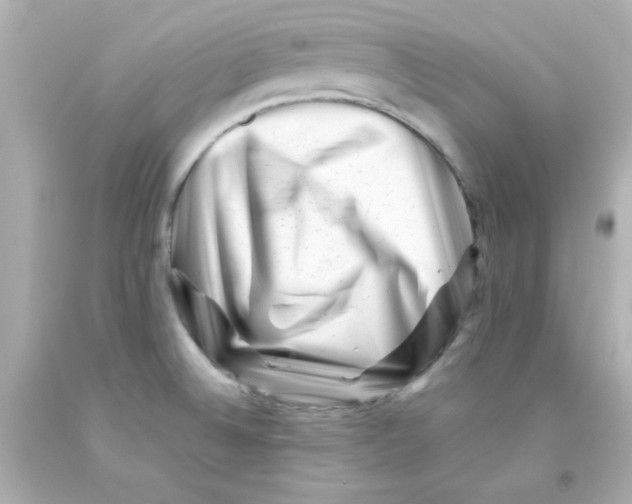 X0000093121524200710241252