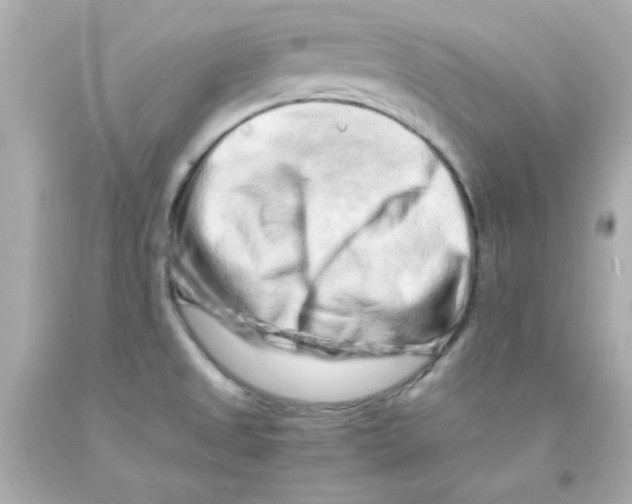 X0000093121525200710241252