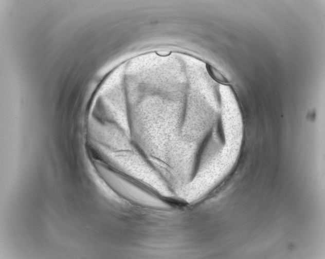 X0000093121526200710241252