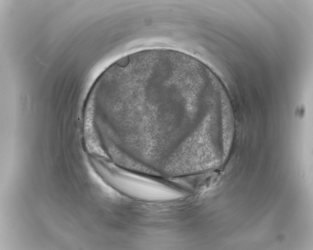 X0000093121527200710241252