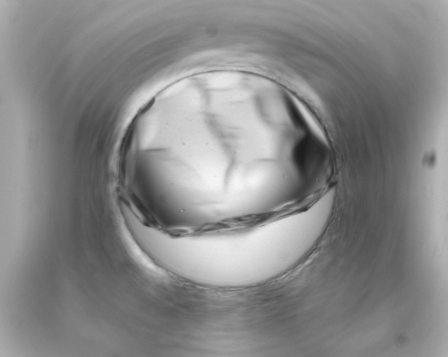 X0000093121528200710241252