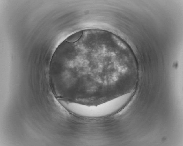 X0000093121529200710241252