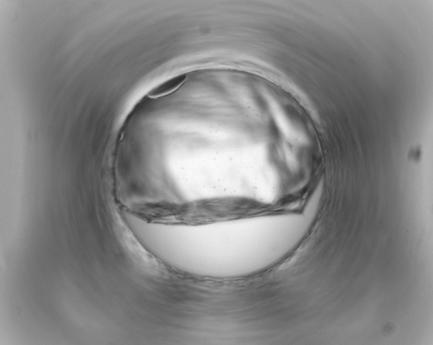 X0000093121530200710241252