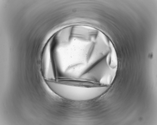 X0000093121531200710241252