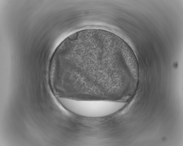 X0000093121533200710241252