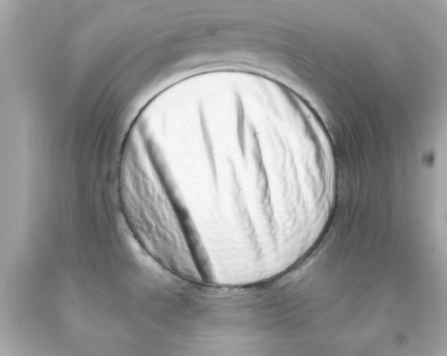 X0000093121534200710241252