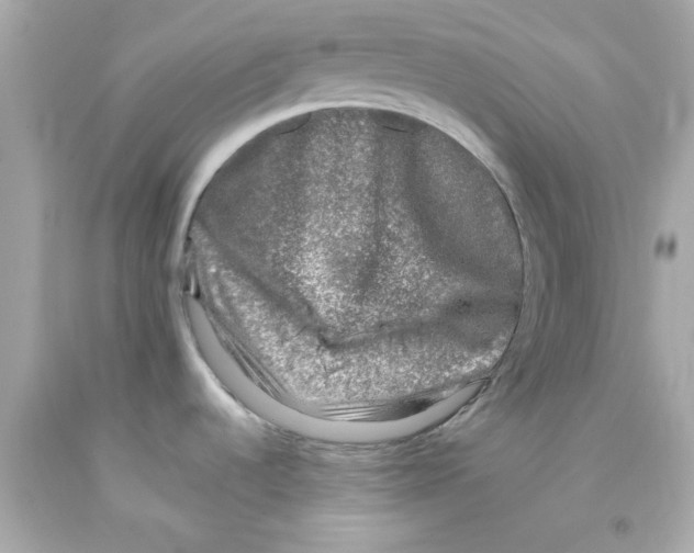 X0000093121536200710241252