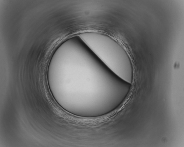 X0000093130001200709261046