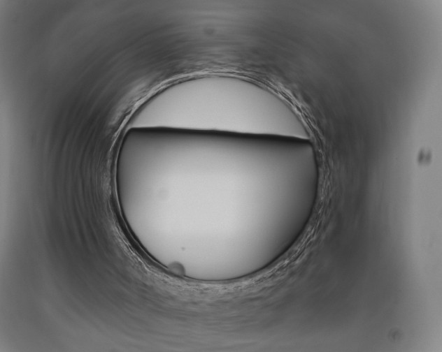X0000093130002200709261046