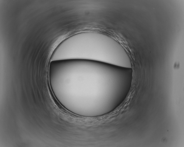 X0000093130003200709261046