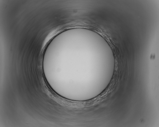 X0000093130004200709261046