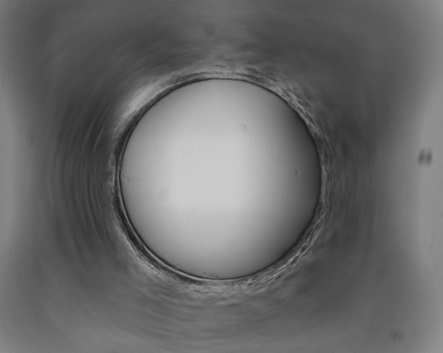 X0000093130005200709261046