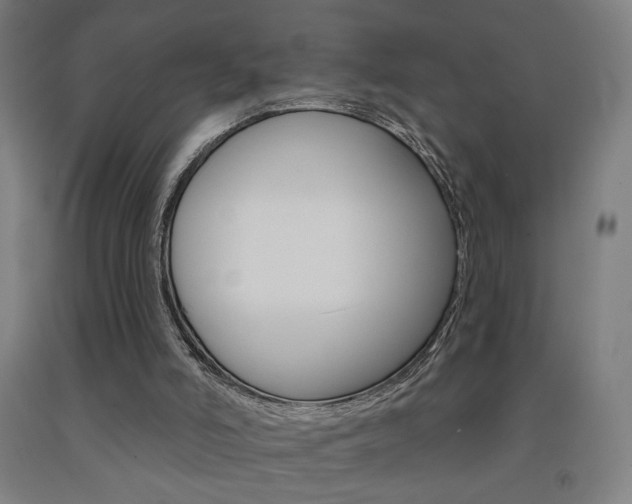 X0000093130006200709261046