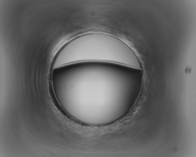X0000093130007200709261046