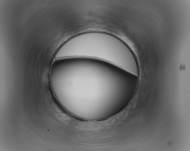 X0000093130009200709261046