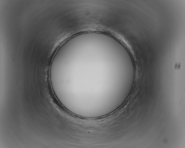 X0000093130010200709261046