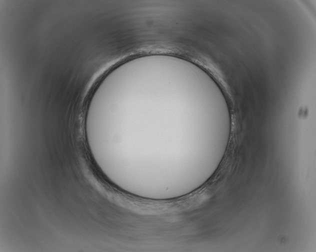 X0000093130012200709261046